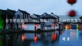 春节想在湖南自由行旅游，有什么好路线推荐吗,湖南省内自驾游最佳路线