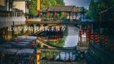北京导游培训机构求推荐,作为一个小导游,请你推荐北京的一处世界文化遗产？