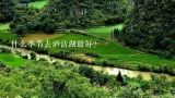 什么季节去泸沽湖最好?去云南泸沽湖最好的季节是？