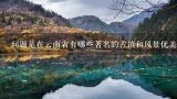 问题是在云南省有哪些著名的古镇和风景优美的山区您认为最有趣的是哪一个?