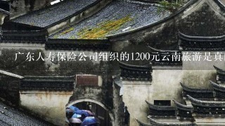 广东人寿保险公司组织的1200元云南旅游是真的吗