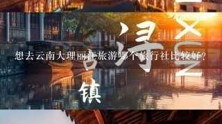 想去云南大理丽江旅游哪个旅行社比较好？
