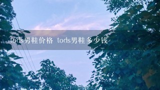 tods男鞋价格 tods男鞋多少钱