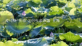 爱马仕 丝巾 2010年最新款 上海