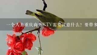 1个人去重庆商务KTV需要注意什么？要带多少钱