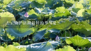 去云南泸沽湖最好的季节是？