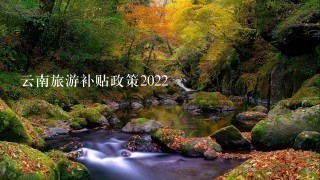 云南旅游补贴政策2022