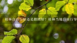 桂林自由行好还是跟团好？桂林当地自由行导游可靠吗？