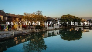 现在西宁到青海湖1日游，旅行社报价多少钱？